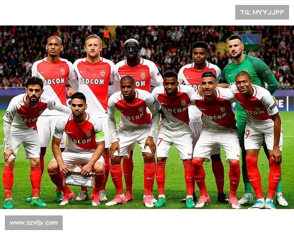 法甲联赛场地条件分析及其对比赛表现的影响